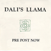 Dali's Llama - Pre Post Now