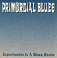 Experiments In A Blues Realm CD Cover 16KB
